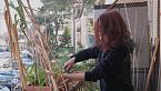 Mettere orti sui vostri balconi: Con Matteo Cereda di orto da coltivare