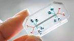 Cosa sono gli Organ-On-Chip?