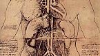 Leonardo da Vinci, l’omo sanza lettere che aveva più libri di letteratura che di scienze