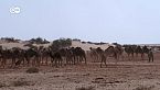 Con pastores de camellos por el Sahara