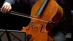 Mario Brunello: violoncello piccolo - musiche di Bach
