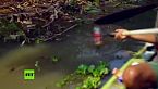 Aguas mortales: el río de Indonesia que se convirtió en una gran fosa séptica