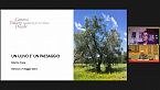 Marina Fresa: Un olivo è paesaggio