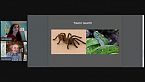 Speciale ragni giganti, i coleotteri coprofagi, entomologi da Ignobel e Suolo Vivente