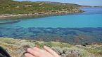 L'unico abitante dell'isola abbandonata