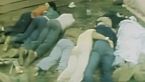 Il massacro di Jonestown: il potere della riprova sociale