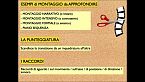 Pillole di didattica del cinema #2. L\'ABC del linguaggio cinematografico