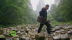 Reino del cielo en la tierra: el Parque de Zhangjiajie, o un paseo por las nubes