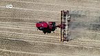 Olas de calor y sequía en Europa