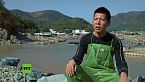 'Oro marino' y té, el camino de la pobreza a la prosperidad I ¡Hola, China!