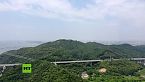 De Shenzhen a Zhongshán: un puente al futuro