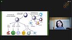 La nutrición y el análisis de los cinco sistemas de defensa del organismo: Visión sistémica / Sesión 4