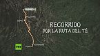 Recorrido por la ruta del té