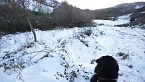 Tracce e impronte di animali sulla neve (con Criptozoo)