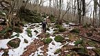 Il bosco d'inverno: neve, orme e tane di animali!
