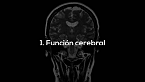 ¿Es la serotonina la hormona de la felicidad?