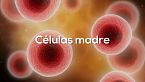 Por qué la anemia es más importante de lo que crees