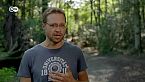 ¿Nuevos bosques para proteger mejor nuestro clima?