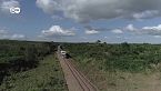Monos, elefantes y leones vistos de cerca en Tazara, un safari en tren
