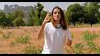 El conflicto de MALI que ocurre en Timbuctú