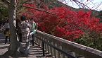 Boda en Japón