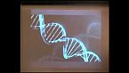 Guido Barbujani: Non nei nostri geni. Identità e DNA
