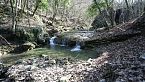 Trekking nel bosco spiato dai Daini!