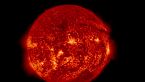 Il Sole è una stella speciale?