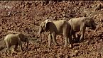 Namib: el desierto más antiguo del planeta