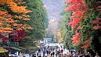 Giappone in autunno - Arigatiozzo Momijigari