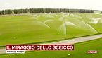 Il miraggio dello sceicco