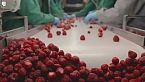 Com\'è cambiato il cibo in 100 anni? - What We Eat ep. 1 - La serie di Will e FoodUnfolded