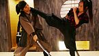 Ninja (Shinobi): I leggendari guerrieri ombra del Giappone - Storia giapponese