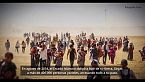 El infierno yazidi: 3.000 mujeres secuestradas por ISIS