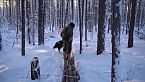 20 años viviendo solo en el salvaje bosque siberiano - Yakutia -71°C