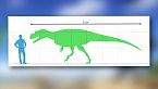 Saltriovenator: il più grande dinosauro carnivoro italiano