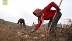 Recorriendo el campo chino: Adaptarse a la naturaleza