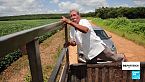 La deforestación por la agricultura industrializada está devorando la selva Maya de Campeche