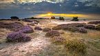 L'Unione Europea è inutile? - Ecco come viene protetta la natura con la Direttiva Habitat