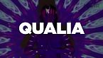 Los qualia - #Datazo