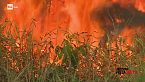 Guerra all'Amazzonia