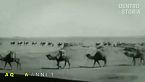 Troppo grande per la gloria: Lawrence D'Arabia