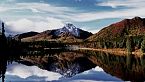 Timothy Treadwell - L'uomo divorato da una bestia