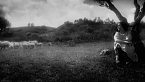 Fatima, l'ultimo mistero