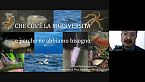 Cos\'è la biodiversità e perché ne abbiamo bisogno