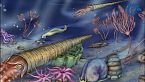 L\'era dei molluschi - Ordoviciano - Cronache Biogeologiche Ep. 4