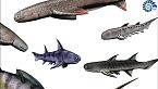 L'era dei pesci - Devoniano - Cronache biogeologiche Ep. 6