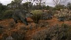 Thylacoleo carnifex: ¡El devastador tigre marsupial que aterrorizó Australia!