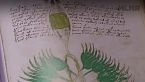 El libro más misterioso del planeta: el Manuscrito Voynich . #Datazo