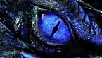 Los dragones orientales (Japoneses, chinos y coreanos) - Bestiario mitológico